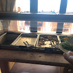 Photo n°3 de l'avis de Fabrizio.i fait le 09/08/2022 à 05:34 sur le  Hotel Residence Solemare à San Nicolò