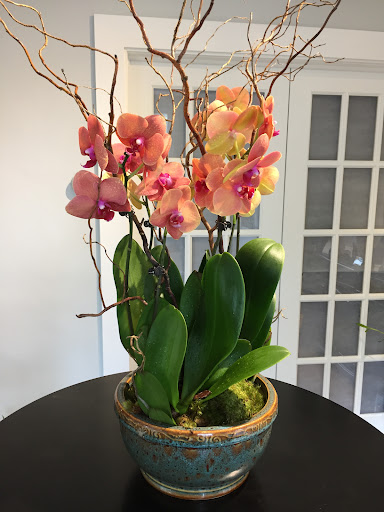 Florist «Medford Florist», reviews and photos, 38 S Main St, Medford, NJ 08055, USA