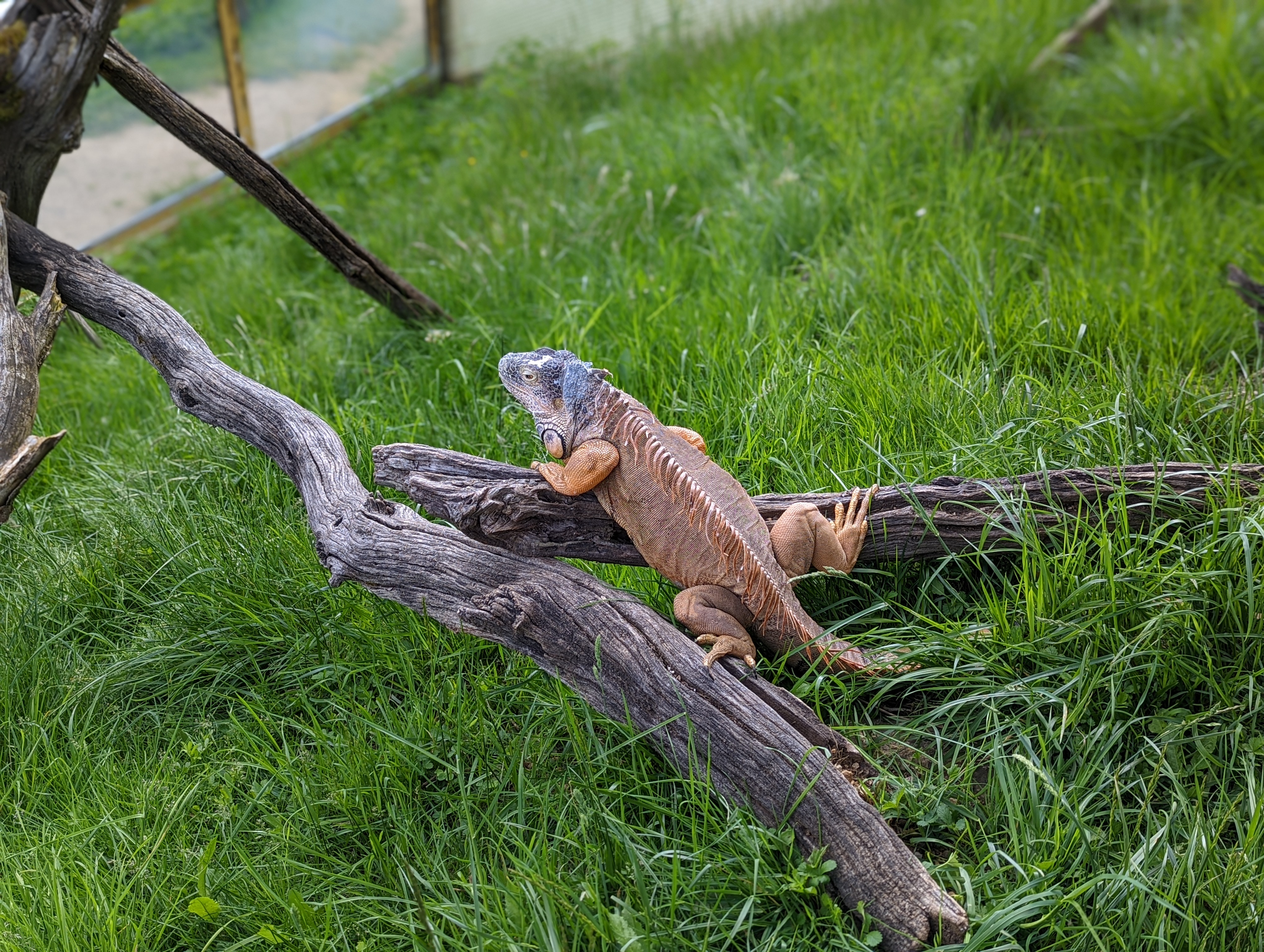 Photo n° 21 de l'avis de Mathieu.I fait le 07/05/2022 à 19:56