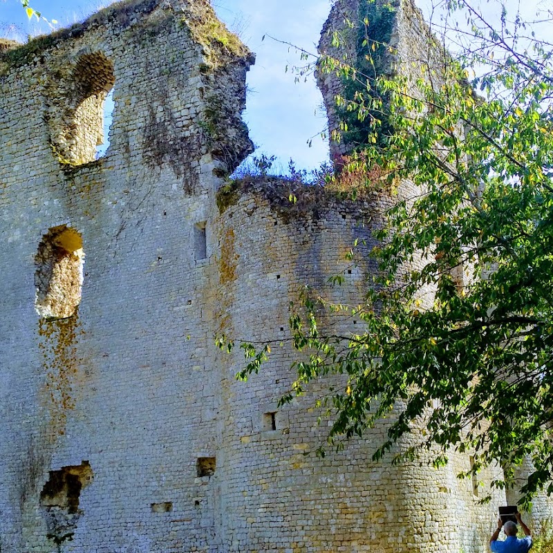 Château de Mez Le Marechal