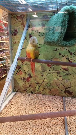 Pet Supply Store «PetSmart», reviews and photos, 15555 E 14th St, San Leandro, CA 94578, USA