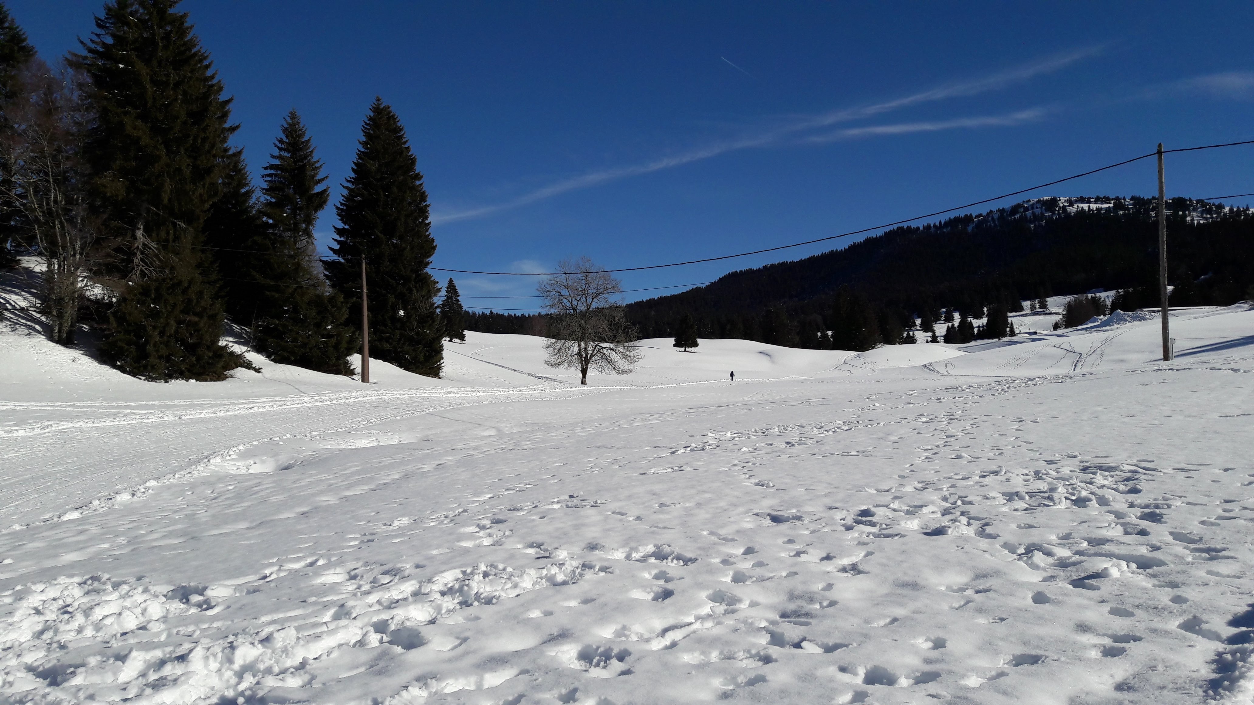 Photo n° 1 de l'avis de Christelle.E fait le 02/02/2018 à 08:36