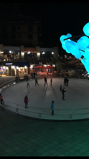 Restaurant «Bol», reviews and photos, 141 E Meadow Dr #113, Vail, CO 81657, USA