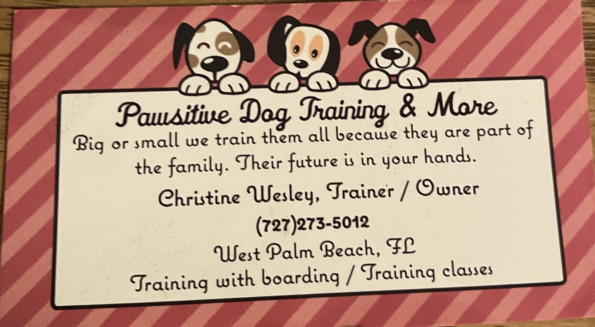 Pawsitive Dog Training & More