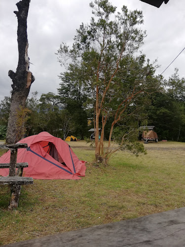 Cámping Arrayan Florido - Camping