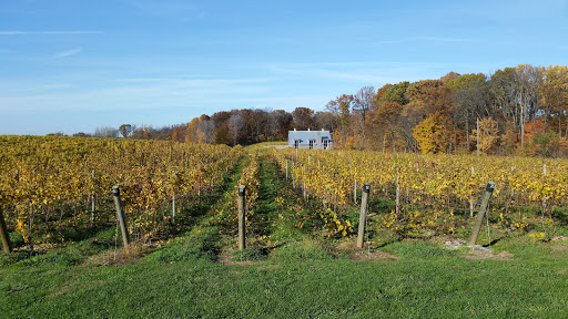 Winery «Dablon Vineyards & Winery», reviews and photos, 111 W Shawnee Rd, Baroda, MI 49101, USA