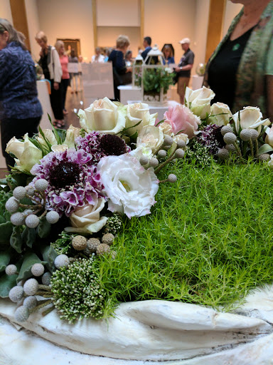 Museum «Museum of Fine Arts, Houston», reviews and photos, 1001 Bissonnet St, Houston, TX 77005, USA