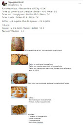 Photo n°1 de Papagaios Brésil à Saint-Gilles ()