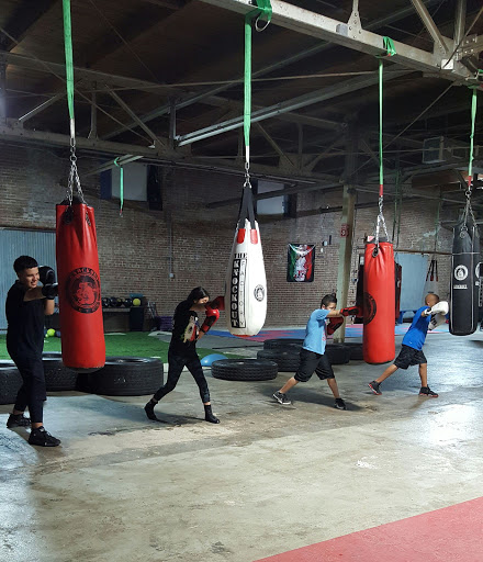 Boxing Gym «The Knockout Factory», reviews and photos, 5601 Navigation Blvd, Houston, TX 77011, USA