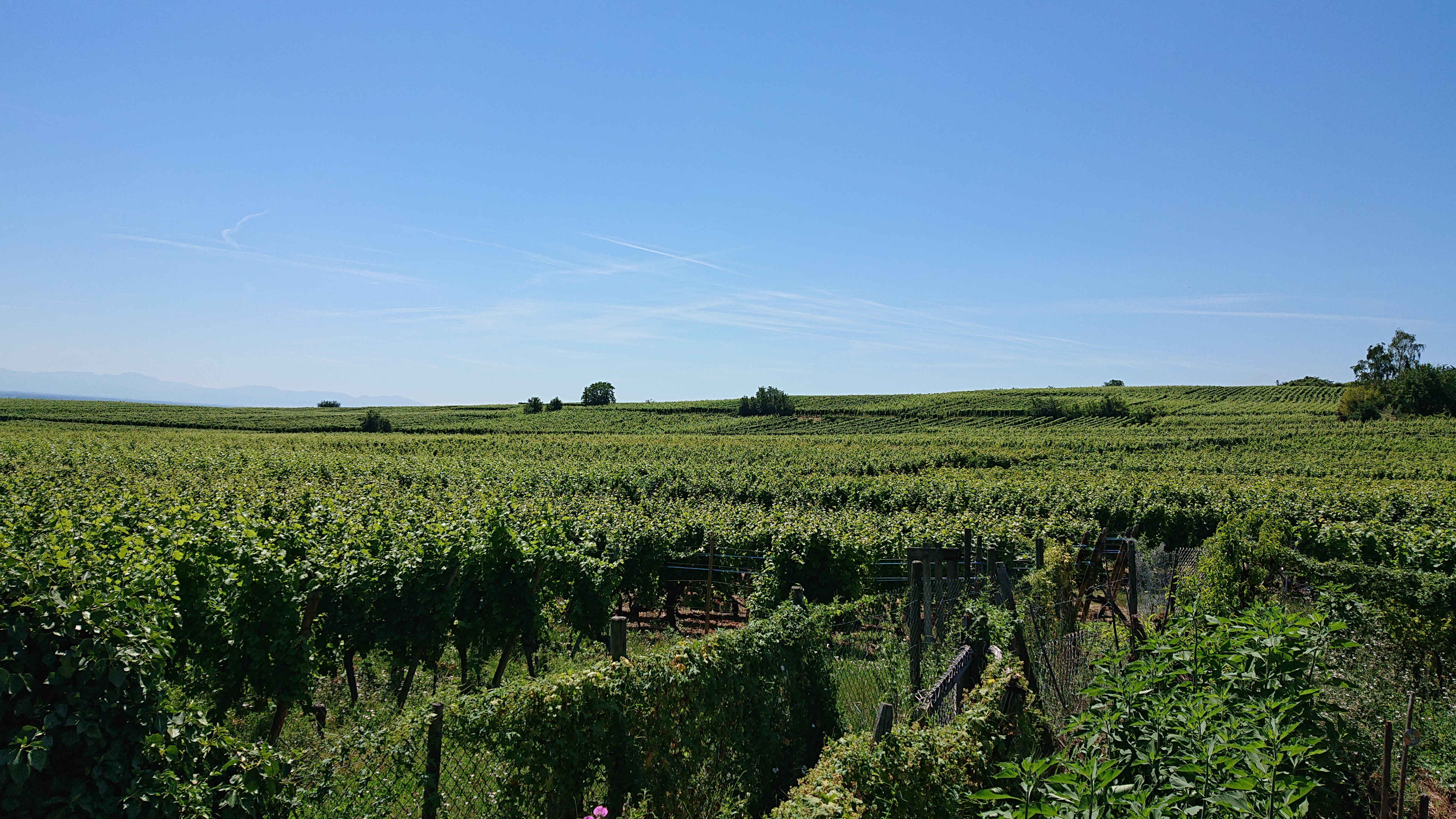 Photo n° 44 de l'avis de Q. fait le 05/07/2019 à 10:28