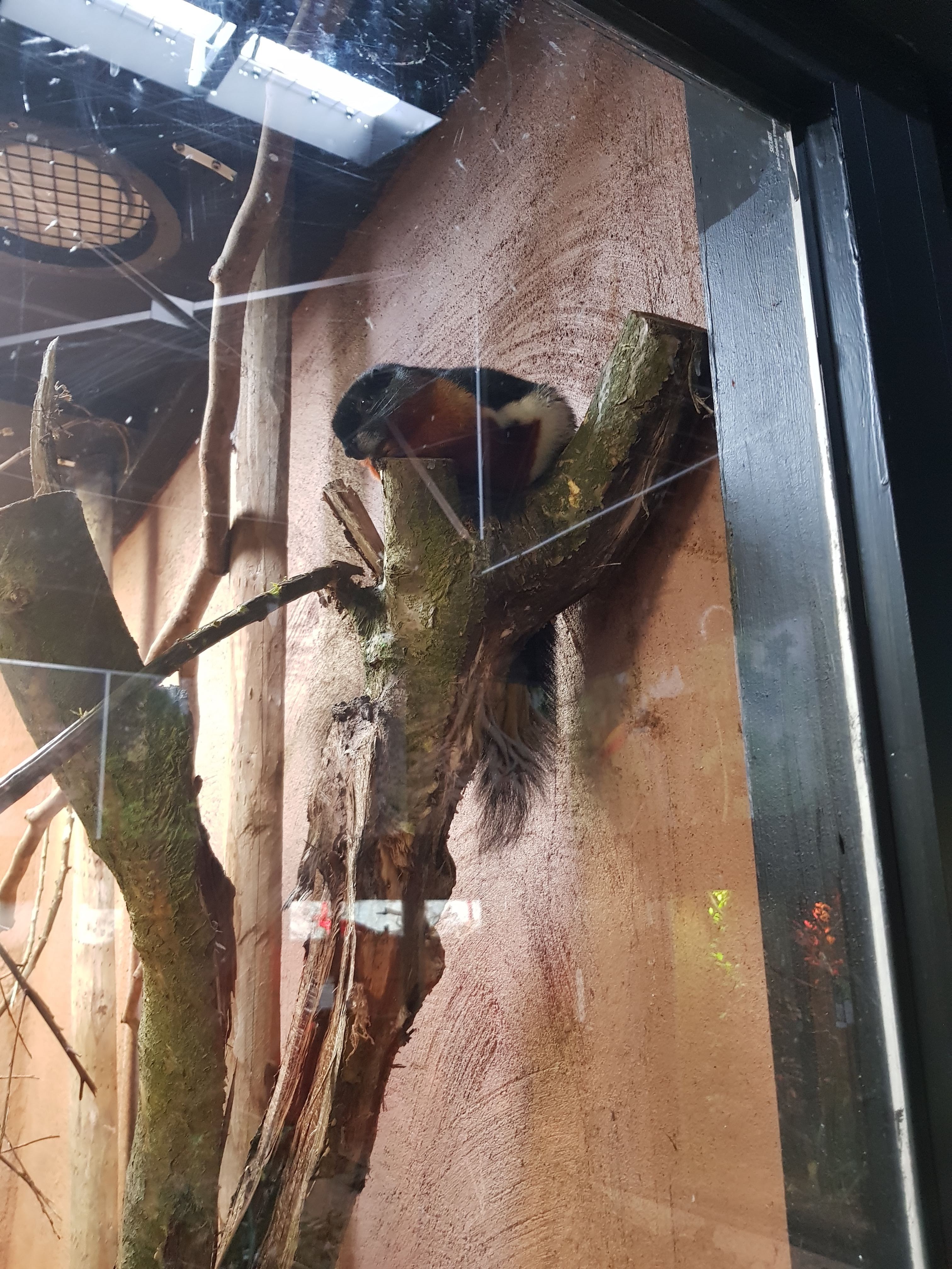 Photo n° 16 de l'avis de Charbel.l fait le 17/03/2019 à 23:45