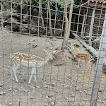 Photo n°2 de l'avis de Alessio.o fait le 18/08/2023 à 22:27 sur le  Il Casolare delle Balze à Bronte