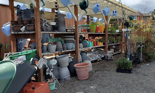 Hardware Store «Lakewood Hardware & Paint, Inc», reviews and photos, 9020 Lakewood Dr SW, Lakewood, WA 98499, USA