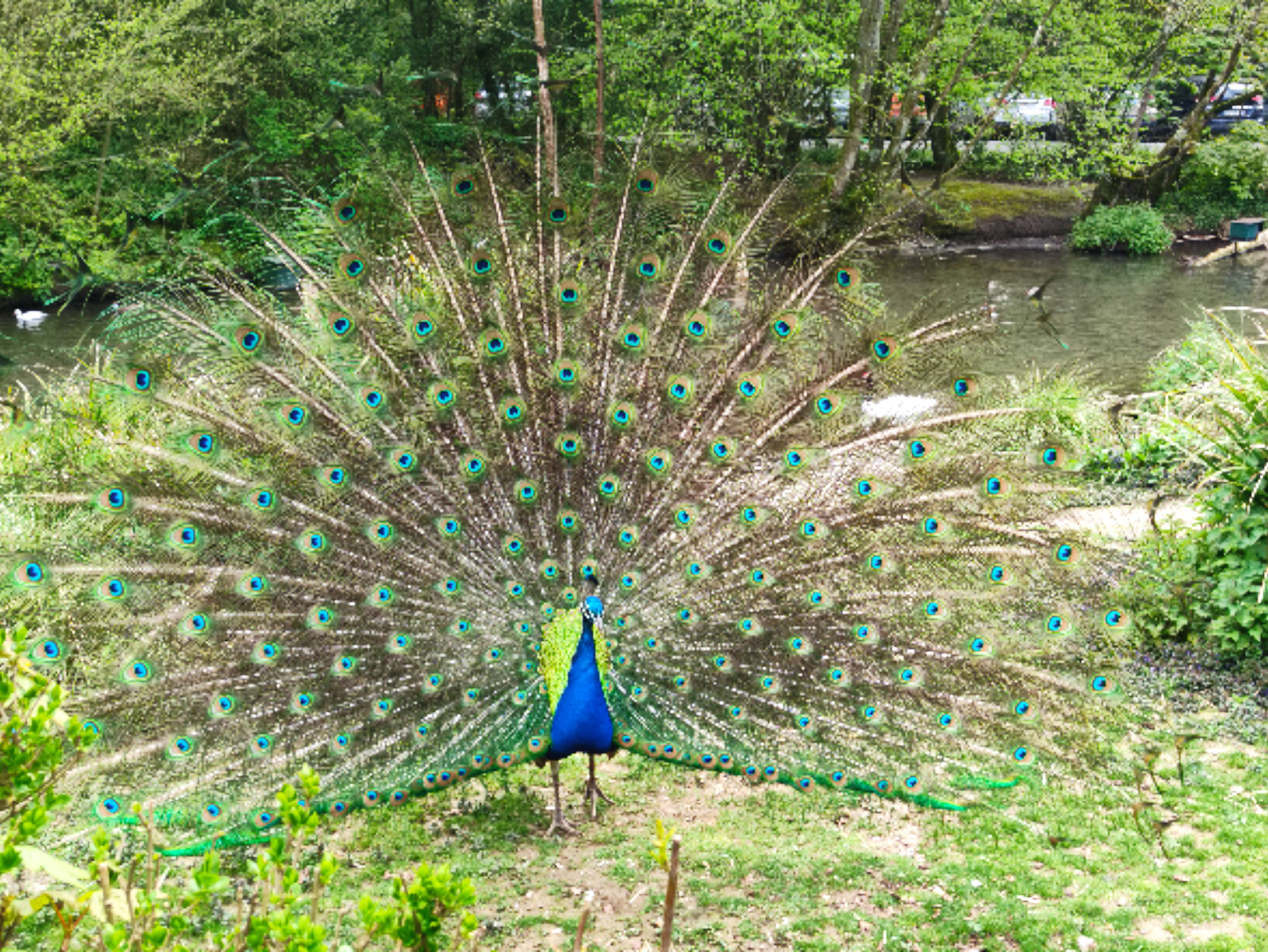 Photo n° 4 de l'avis de mathilde.a fait le 25/04/2023 à 18:21