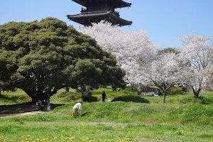 Bitchū Kokubun-ji Temple image