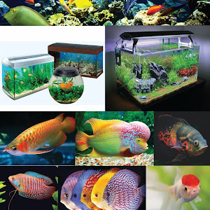 Assam Enterprise photo