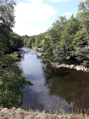 Barlier Jean-Claude à Lathus-Saint-Rémy