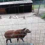 Photo n°6 de l'avis de Hoax.a fait le 11/08/2018 à 11:07 sur le  Haus am See Haselünne à Haselünne