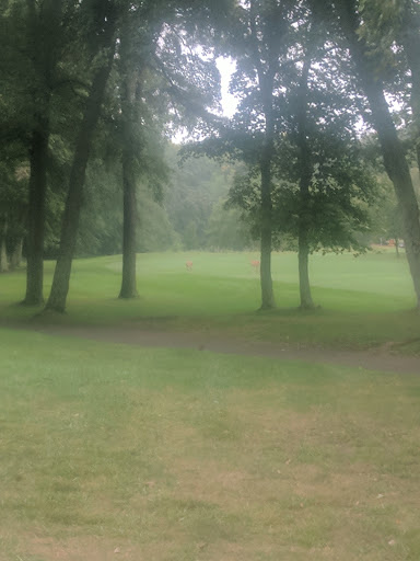 Golf Course «Pine Brook Golf Course», reviews and photos, 1 Covered Bridge Blvd, Manalapan Township, NJ 07726, USA