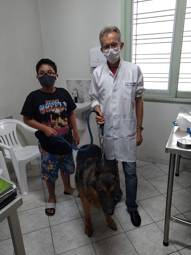 Clínica Veterinária Dr. José Araujo de Morais em São Paulo - SP