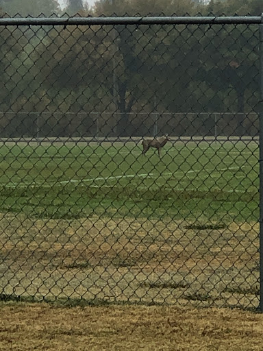 Nature Preserve «Elm Fork Nature Preserve Trail Entrance», reviews and photos, 2335 Sandy Lake Rd, Carrollton, TX 75006, USA