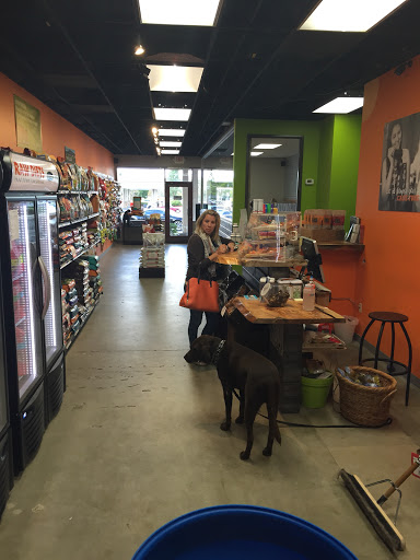 Dirty Dogs Carmel Mountain Ranch