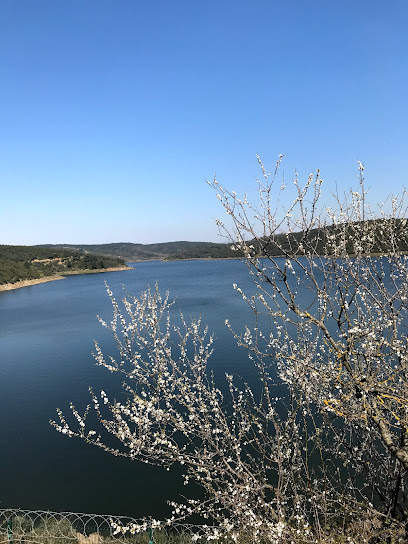 Alibey Barajı