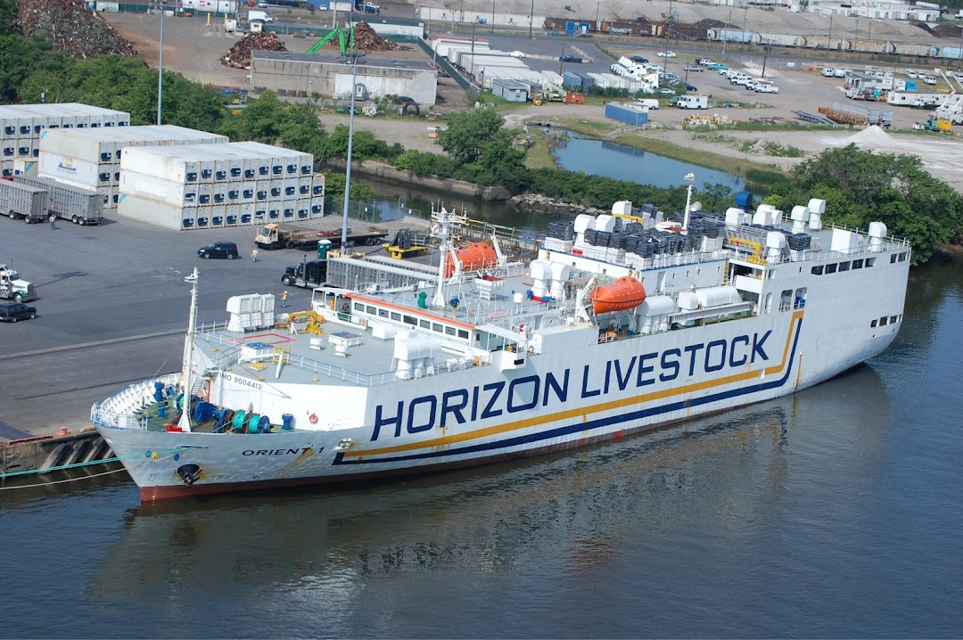 Horizon Livestock LLC