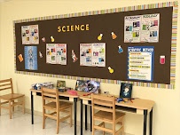 Safari Kid - Allen - Photo 8 - Car repair in Allen, TX, Plano