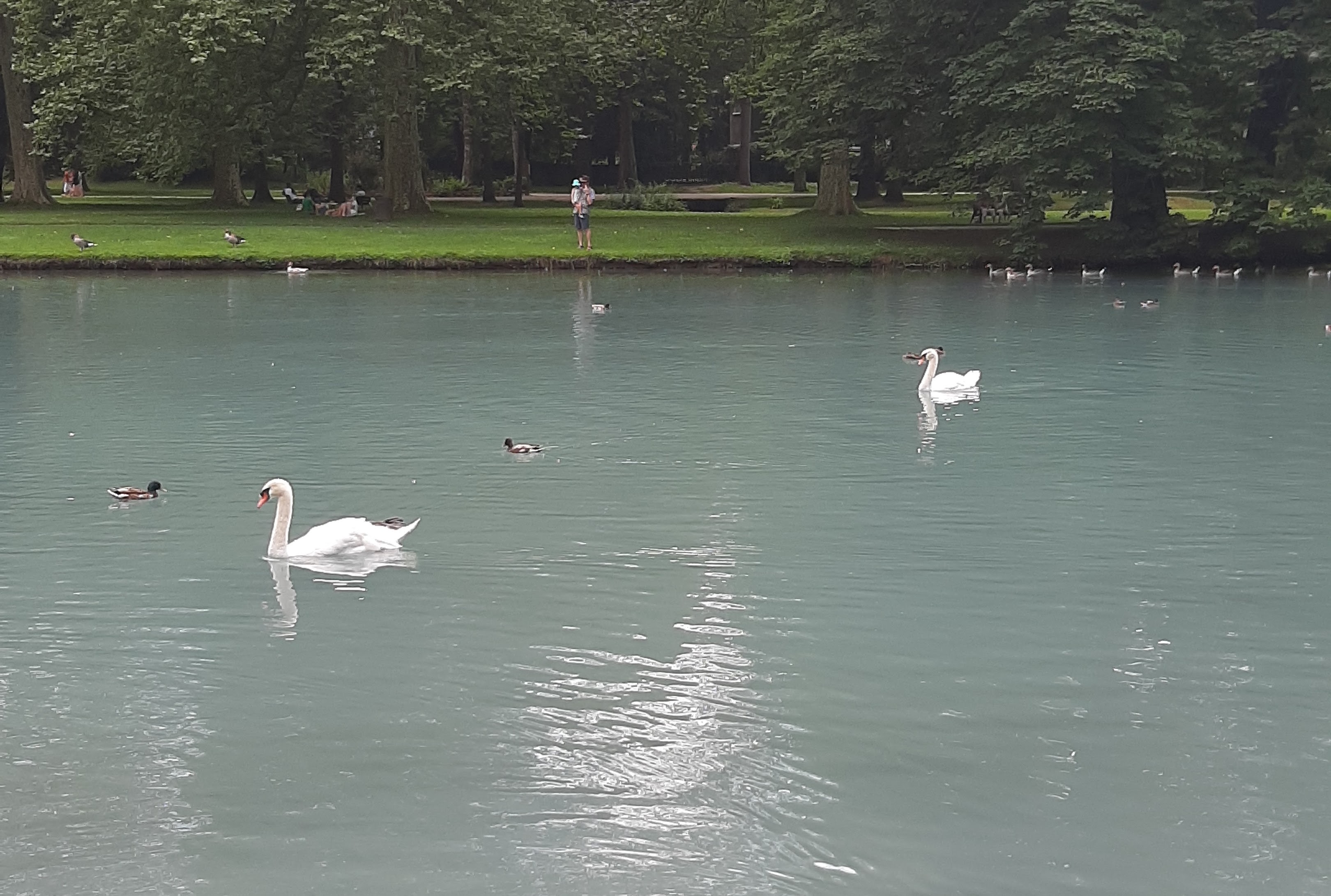 Photo n° 2 de l'avis de Olivier.M fait le 24/09/2019 à 15:45