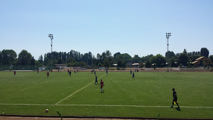 Estadio Municipal De El Carmen.