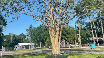 Blue Wing Tree Service