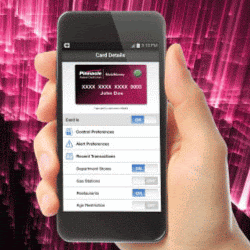 Federal Credit Union «Pinnacle Federal Credit Union», reviews and photos