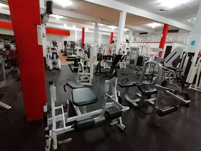 IRON GYM FITNESS CLUB