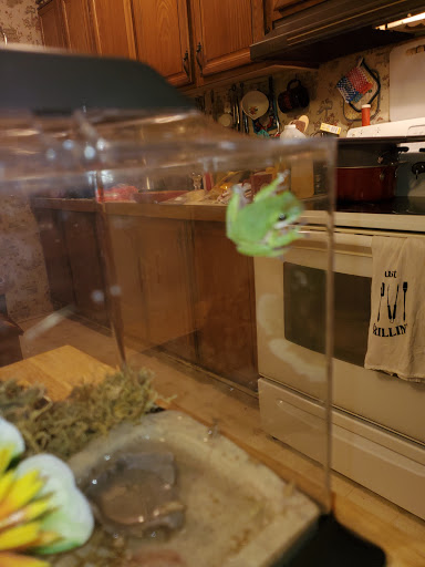 Pet Supply Store «Petco Animal Supplies», reviews and photos, 6850 US-90, Daphne, AL 36526, USA