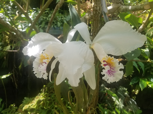 Florist «Tappan Zee Florist», reviews and photos, 176 Main St, Nyack, NY 10960, USA