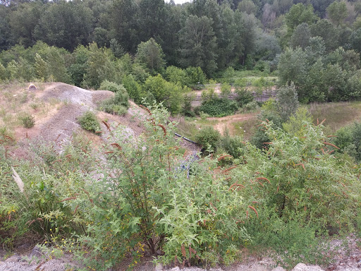 Nature Preserve «Black River Riparian Forest and Wetland», reviews and photos, Oakesdale Ave SW, Renton, WA 98057, USA