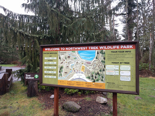 Zoo «Northwest Trek Wildlife Park», reviews and photos, 11610 Trek Dr E, Eatonville, WA 98328, USA