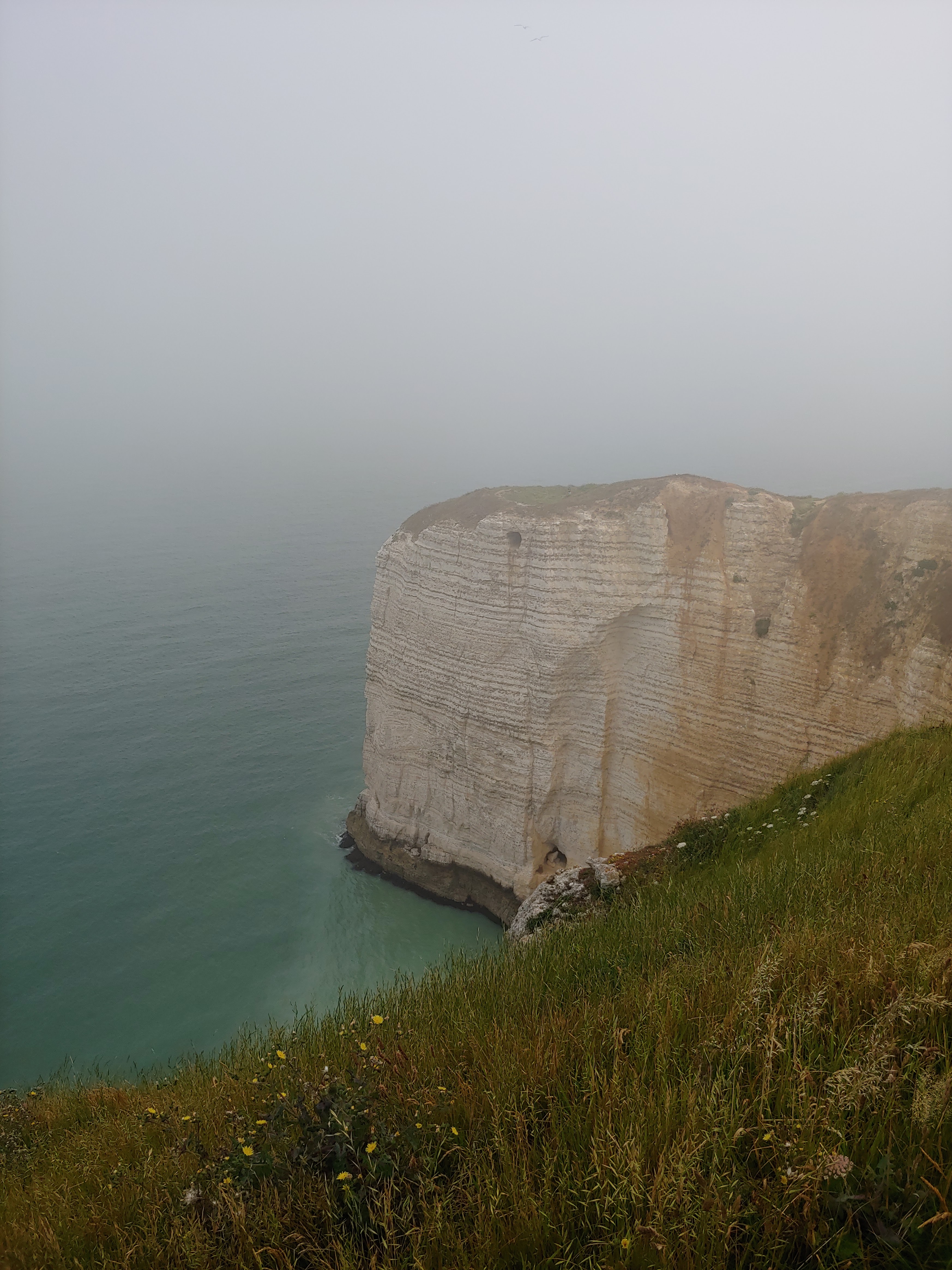 Photo n° 20 de l'avis de Janne.� fait le 27/06/2023 à 18:09