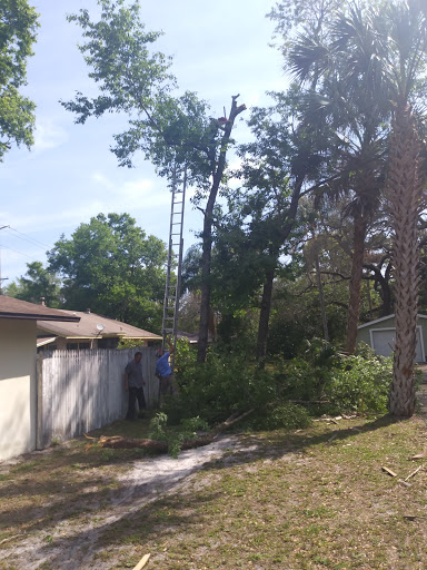 Hardware Store «Vision Ace Hardware», reviews and photos, 8538 Gunn Hwy #10, Odessa, FL 33556, USA