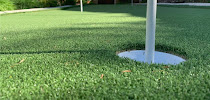 Orange County Artificial Grass & Pavers - Photo 2 - Car repair in , Irvine