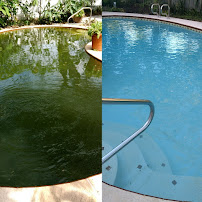 Civic's Pool Service - Photo 8 - Car repair in , Tampa