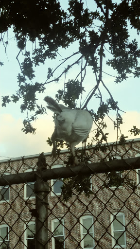 Museum «Ybor City State Museum», reviews and photos, 1818 E 9th Ave, Tampa, FL 33605, USA