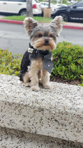 Pet Supply Store «PetStop Warehouse», reviews and photos, 27690 Santa Margarita Pkwy, Mission Viejo, CA 92691, USA