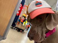 PetSmart - Photo 7 - Car repair in Austin, TX, Austin