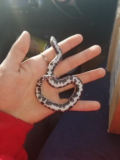 Pet Store «Tanks Pet Supply», reviews and photos, 628 S Main St, Princeton, IL 61356, USA