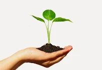 B & C Cleaning Services - Car repair in Riverside, CA, Riverside - Rated 0.0/5