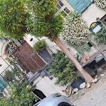 Photo n°6 de l'avis de Irene.o fait le 11/10/2022 à 17:04 sur le  Gasthof Adler à Langenargen