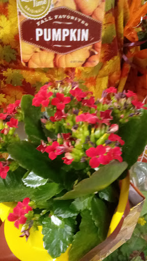 Supermarket «Super Stop & Shop», reviews and photos, 1429 NY-300, Newburgh, NY 12550, USA