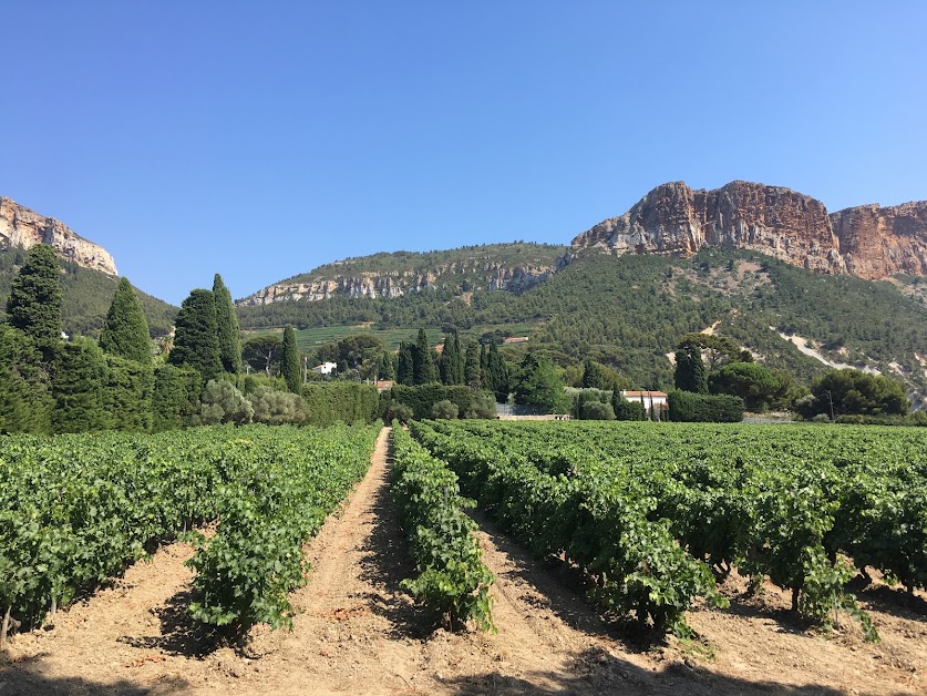 Provence Wine Tours à Aix-en-Provence (Bouches-du-Rhône 13)